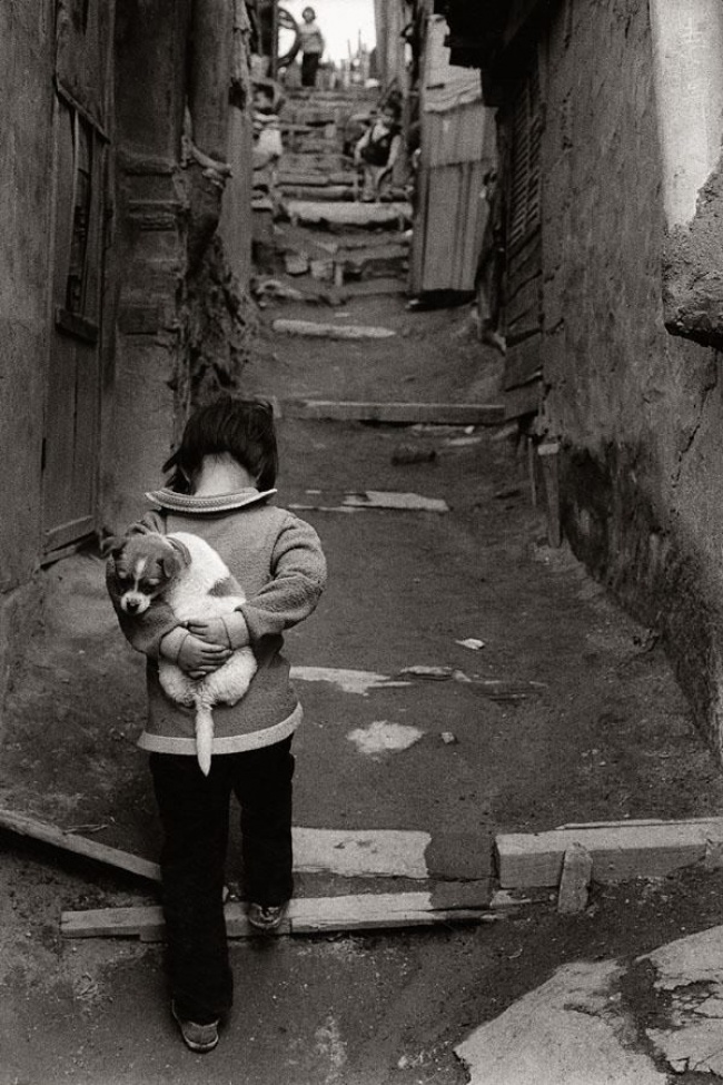 Illustration de l'article : 17 images qui vont titiller vos émotions