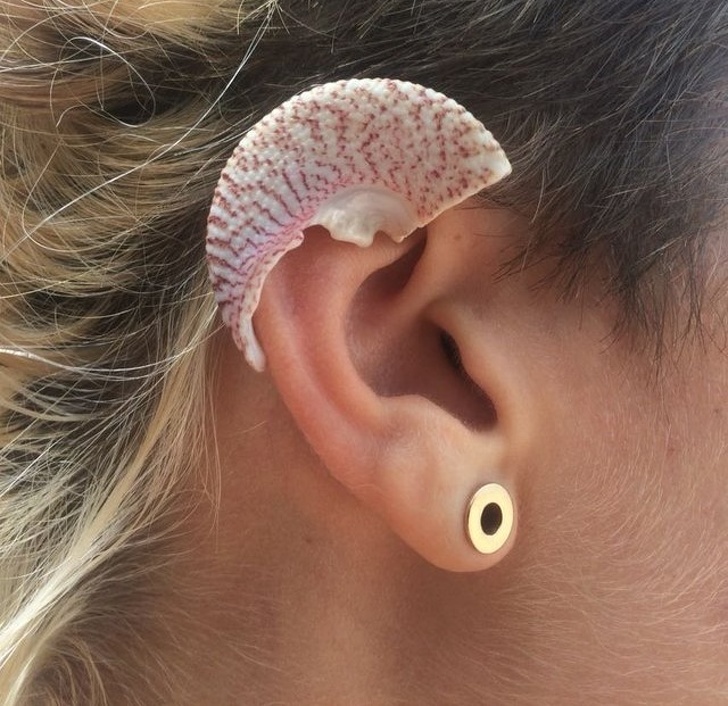 Illustration de l'article : Ces 26 photos qui épousent la perfection