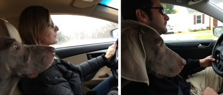 Illustration de l'article : Ces 18 couples qui savent se renouveler pour ne pas sombrer dans la monotonie