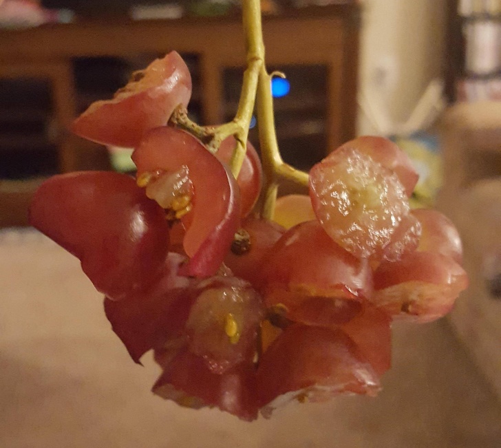 Illustration de l'article : Ces 17 fois où la logique des enfants est discutable