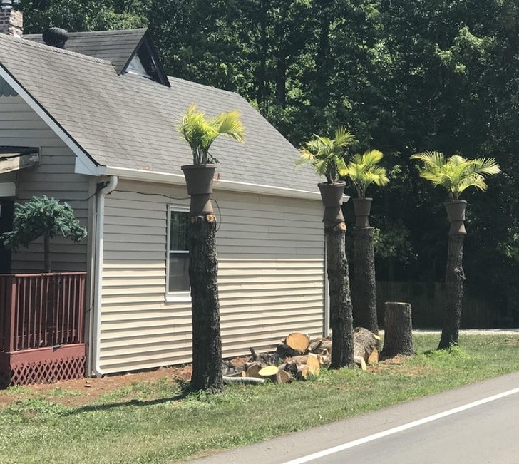 Illustration de l'article : Ces 16 photos montrent que certaines personnes ont des idées bien particulières