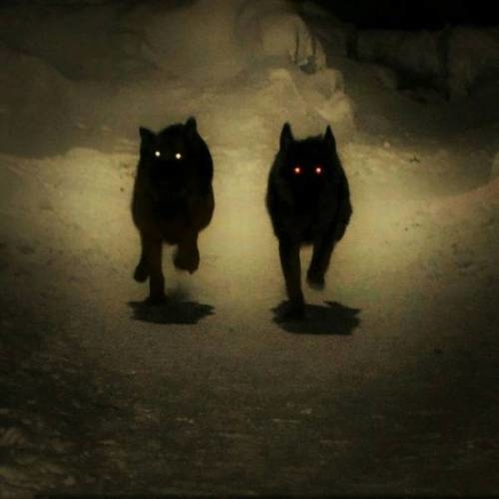 Illustration de l'article : Ces 16 photos de situations qu'il vaut mieux éviter sous peine de frissons