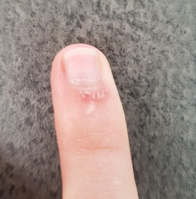 Illustration de l'article : Ces 27 curiosités immortalisées par un appareil photo