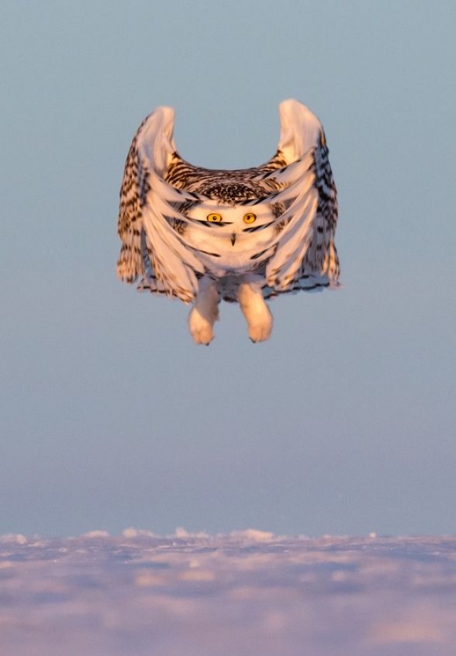 Illustration de l'article : 32 photographes qui ont magnifiquement réussi à suspendre le temps !