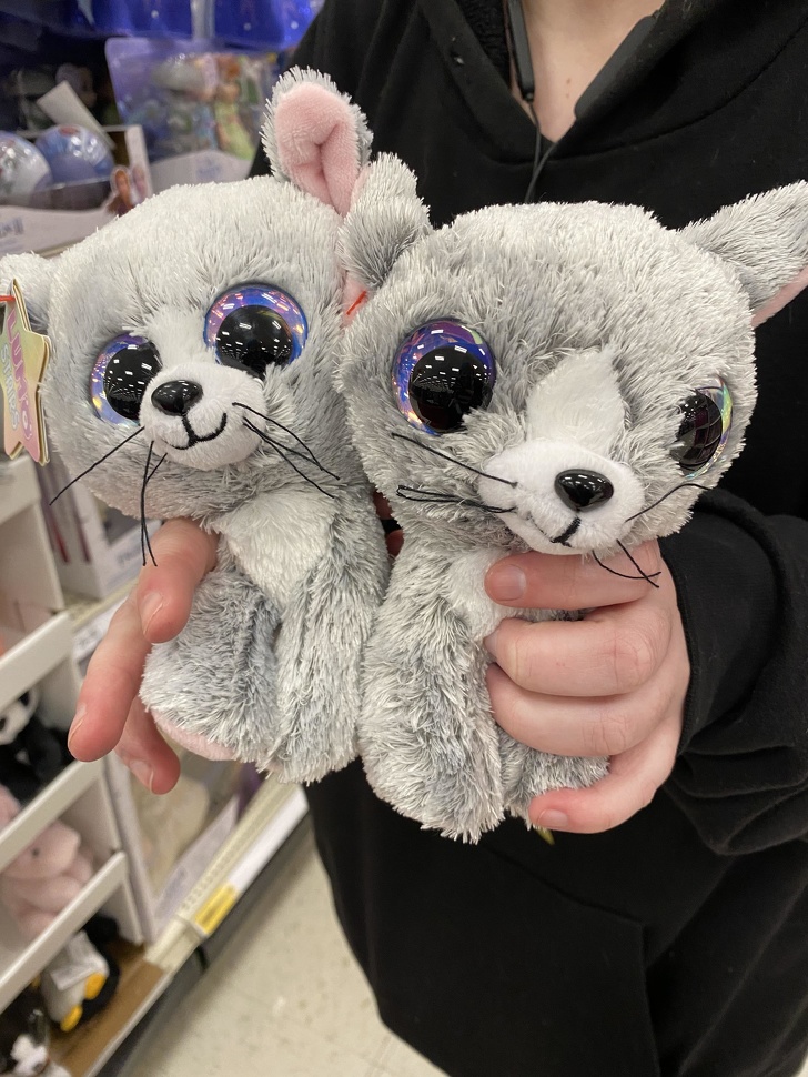 Illustration de l'article : Ces 20 Personnes qui commettent l'erreur &agrave; ne pas faire dans leur travail 