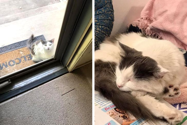 Illustration de l'article : Ces 18 photos des découvertes qu'on peut faire en emménageant