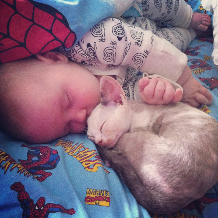 Illustration de l'article : Ces 20 personnes qui ont eu droit à leur jour de chance