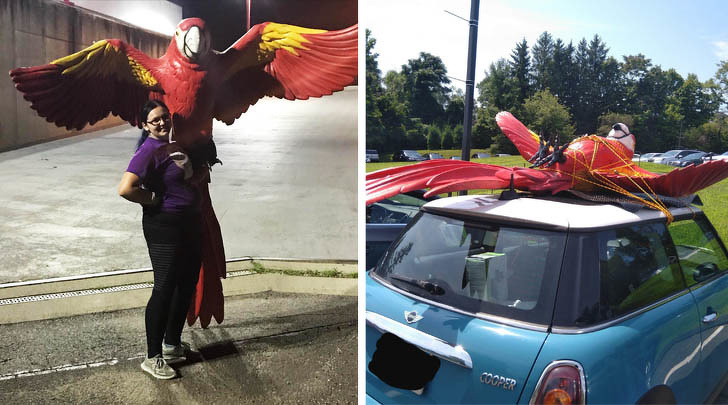 Illustration de l'article : Ces 22 tr&eacute;sors retrouv&eacute;s dans une poubelle