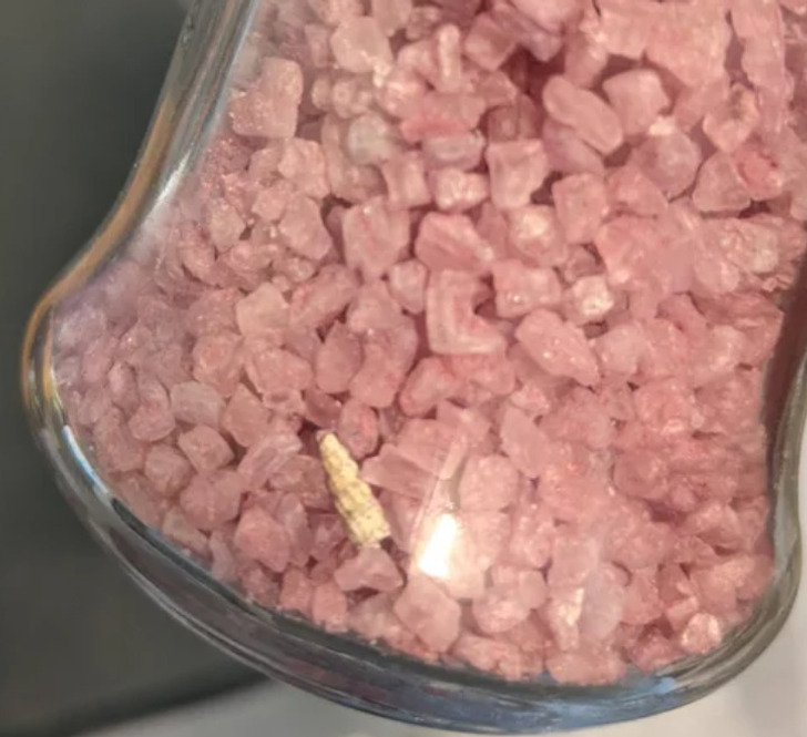 Illustration de l'article : Ces 18 situations qui ne se présentent qu'une seule fois dans une vie