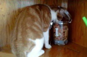 Illustration de l'article : 42 situations qui prouvent que le karma existe 