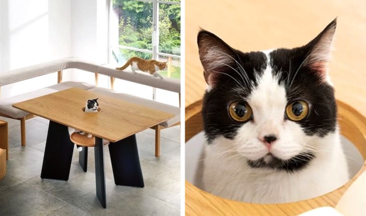 Illustration de l'article : Ces 15 photos qui illustrent de nouvelles bonnes idées des designers 