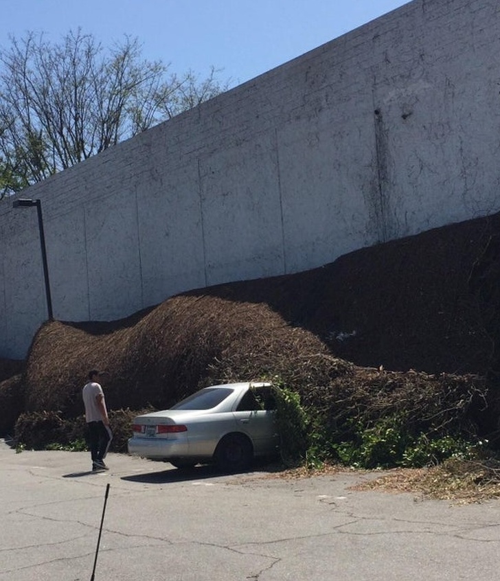 Illustration de l'article : Ces 18 personnes pour qui la vie est pleine de drames