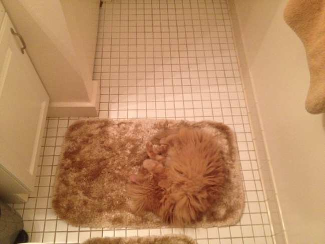 Illustration de l'article : Ces 17 personnes ont un ange gardien sur leur tête