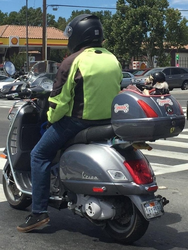 Illustration de l'article : Ces 23 photos montrent qu'on peut découvrir chaque jour de nouvelles choses