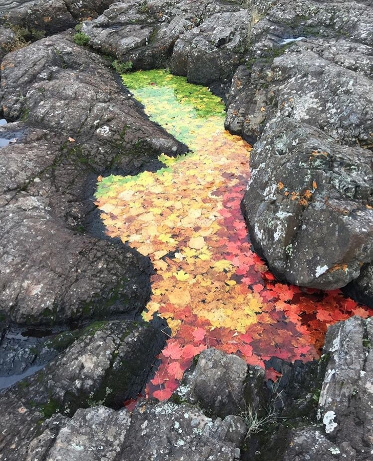 Illustration de l'article : Ces 19 photos représentant des mystères de la nature