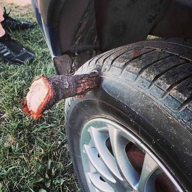 Illustration de l'article : Ces 21 photos qui réclament un peu d'empathie