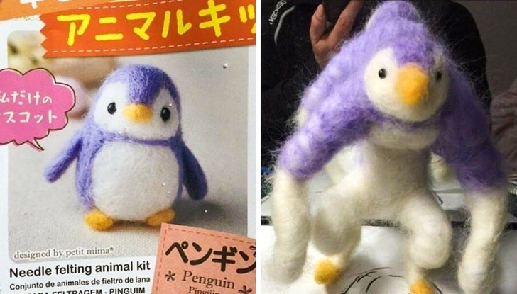 Illustration de l'article : Ces 14 photo qui remettent beaucoup de choses en cause