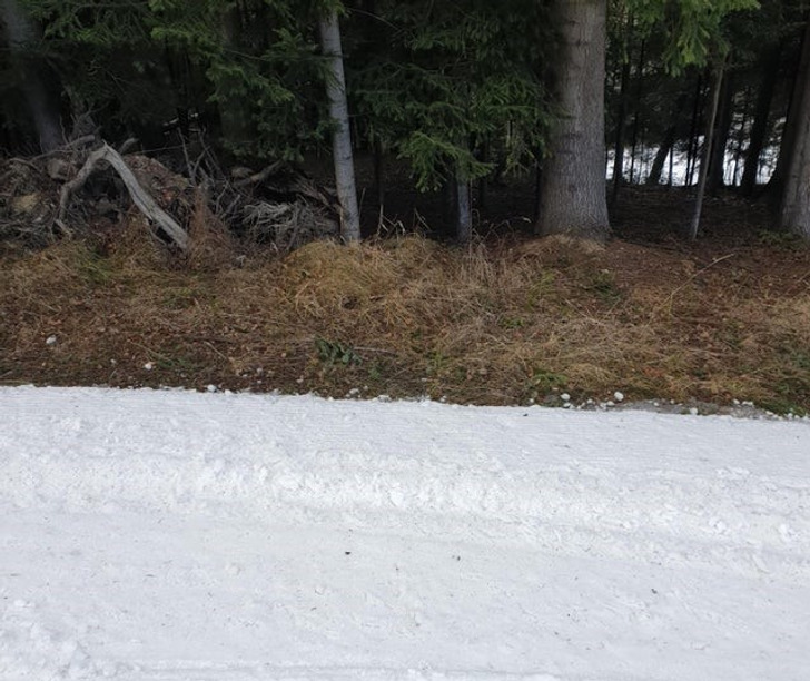 Illustration de l'article : Ces 15 photos qui pourraient montrer que nous vivons dans une matrice