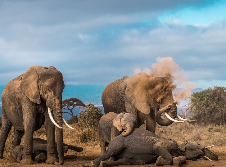 Illustration de l'article : Cette sélection des 19 plus belles photos de 2018