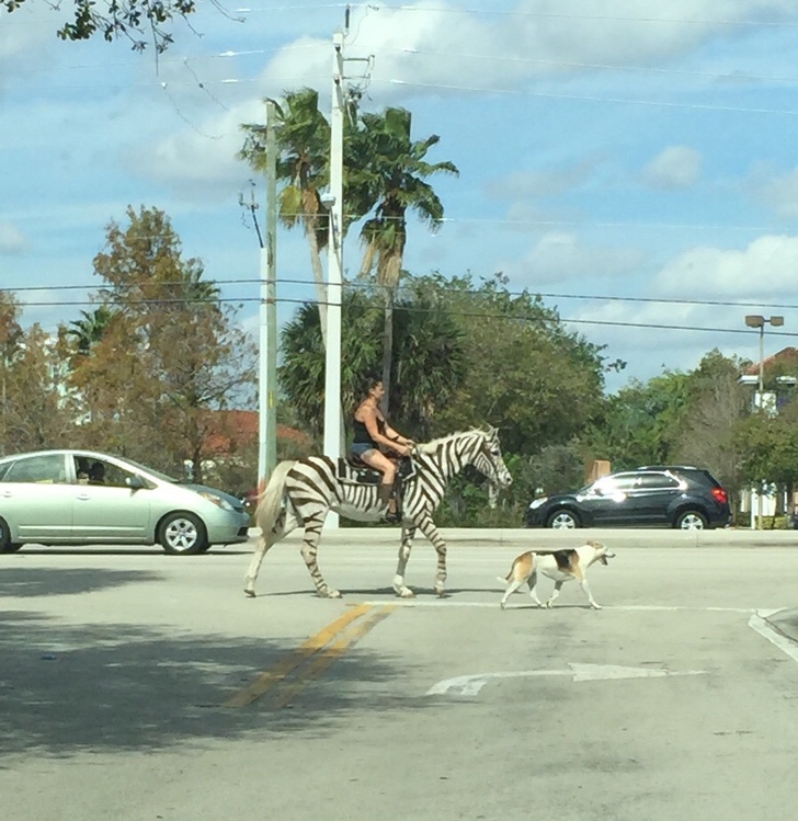 Illustration de l'article : Ces 20 fois où les internautes ont complètement craqué