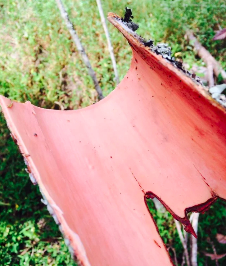 Illustration de l'article : Ces 31 photos montrant la face cachée d'objets ordinaires