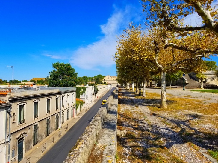 Illustration de l'article : Ces 15 photos de curiosités qui n'ont pas été retouchées