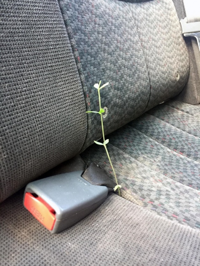 Illustration de l'article : 14 personnes ayant retrouvé des choses à des endroits improbables