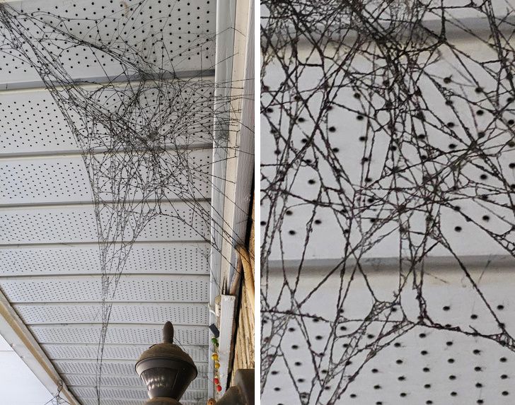 Illustration de l'article : Ces 20 photos illustrant des phénomènes du quotidien