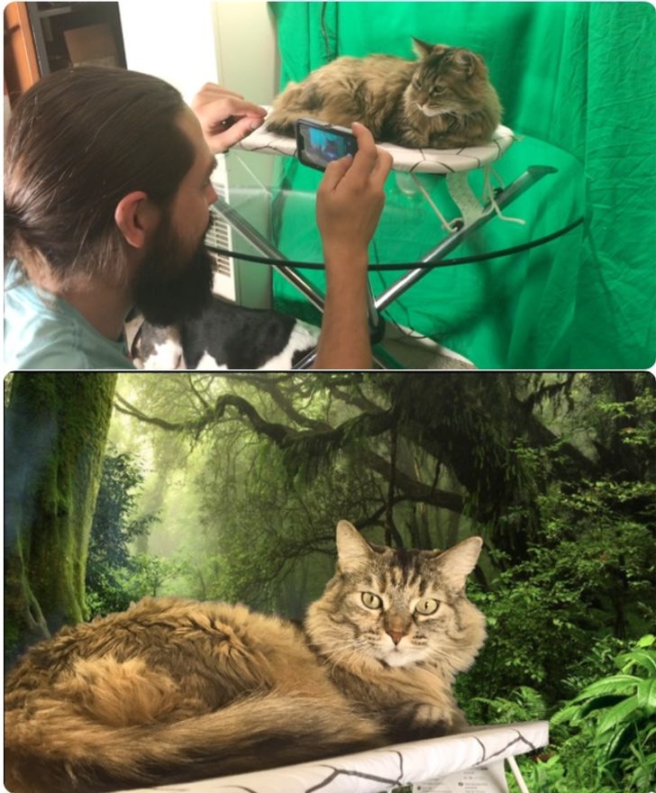 Illustration de l'article : Ces 20 personnes qui ne jurent que par l'humour