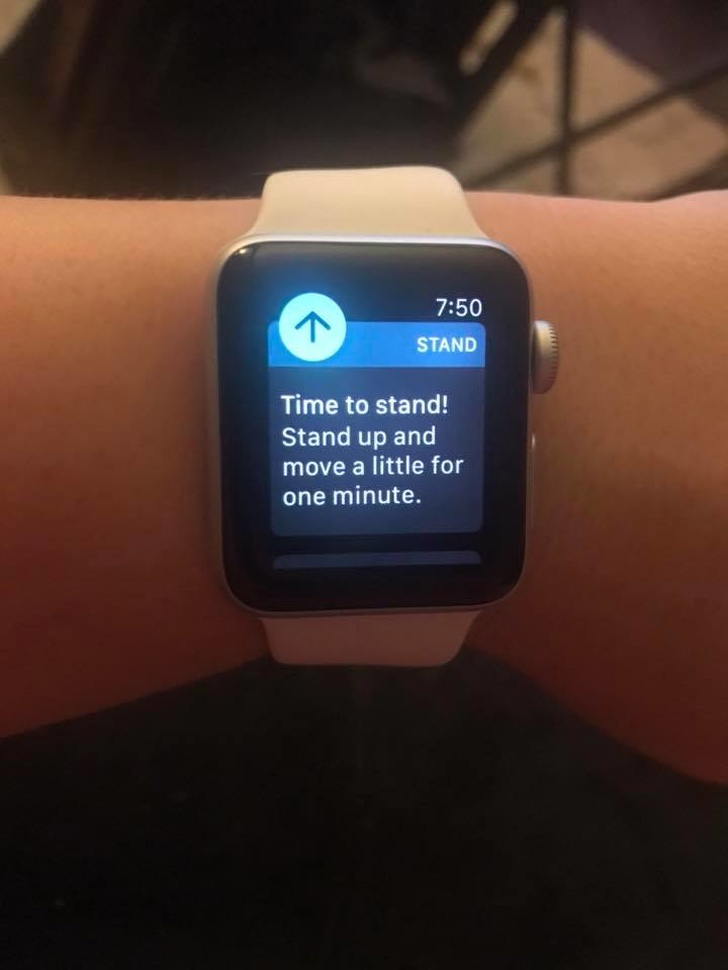 Illustration de l'article : Ces 14 images de la paresse en action