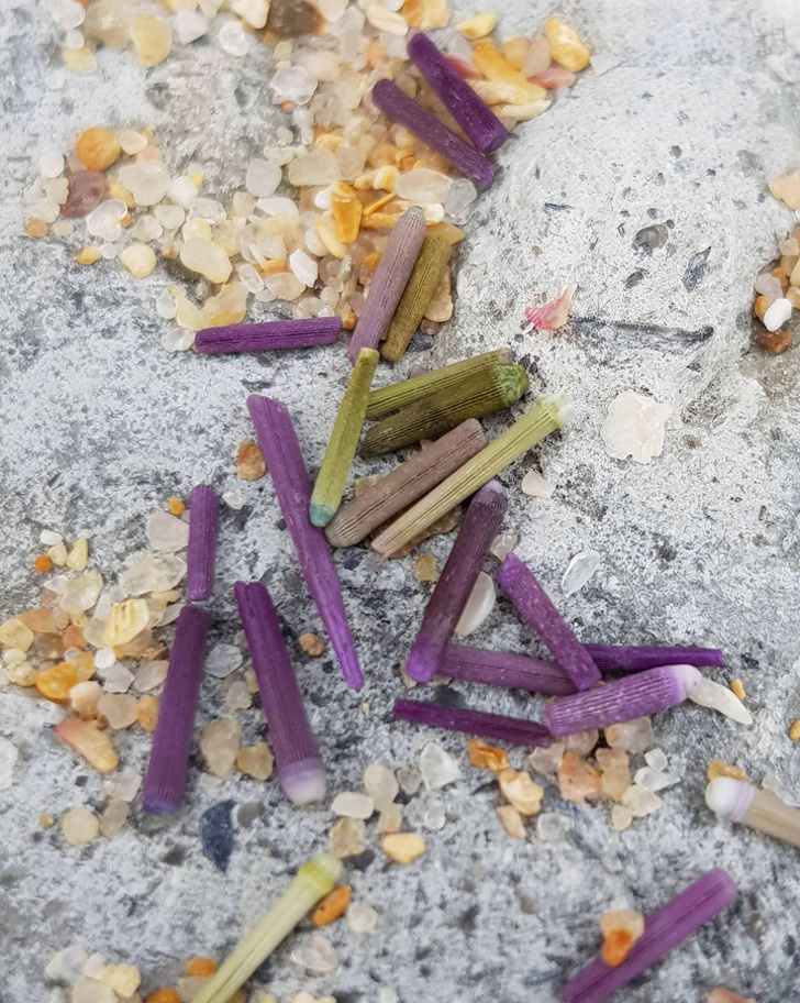 Illustration de l'article : Ces objets étranges ont tous une utilité bien particulière