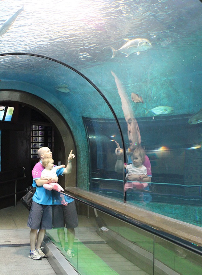 Illustration de l'article : 27 photographies de pros prises au bon endroit et au bon moment !