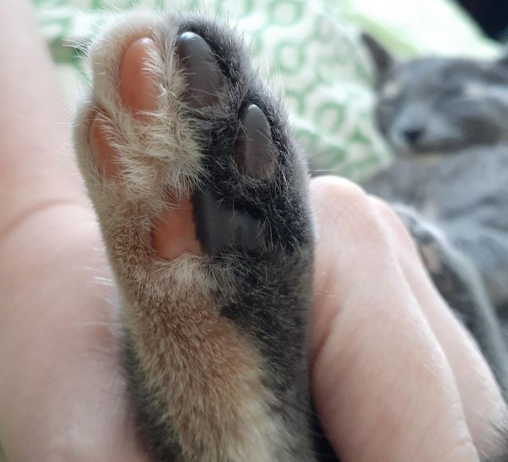 Illustration de l'article : Ces 15 fois où la nature a joué avec les couleurs