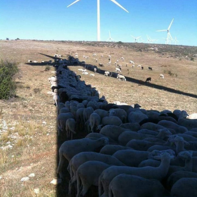 Illustration de l'article : 25 internautes partagent avec vous leurs instants de vie les plus marquants