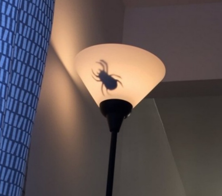 Illustration de l'article : Ces 17 familles dans lesquelles vous devez toujours surveiller vos arri&egrave;res