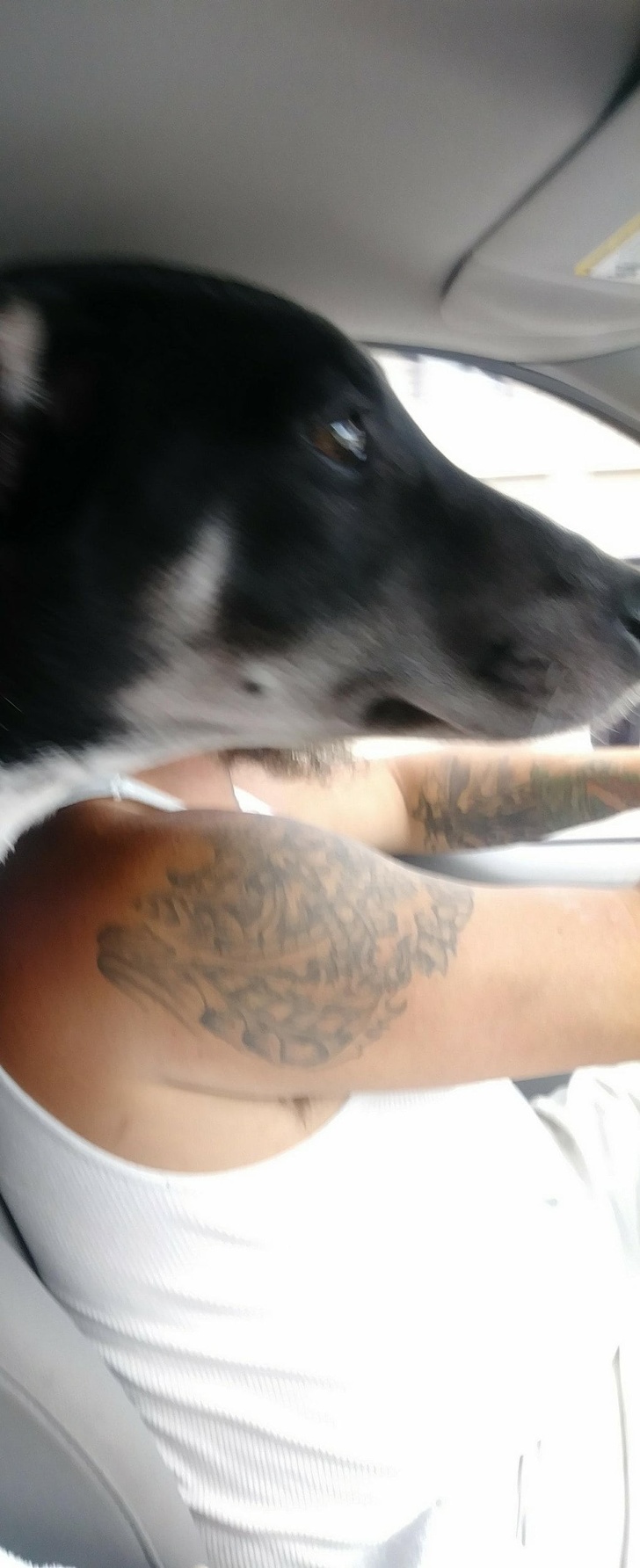 Illustration de l'article : Ces 27 photos prises à l'instant idéal pour en faire des clichés parfaits