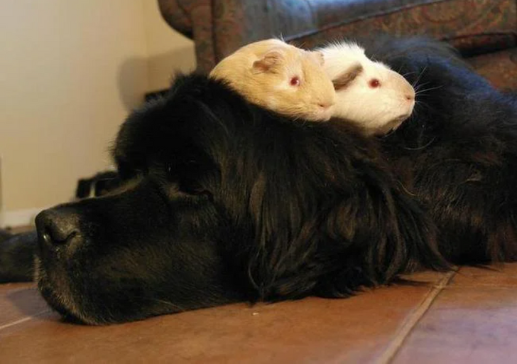 Illustration de l'article : Ces 15 photos qui illustrent des moments d'émotion et de tendresse