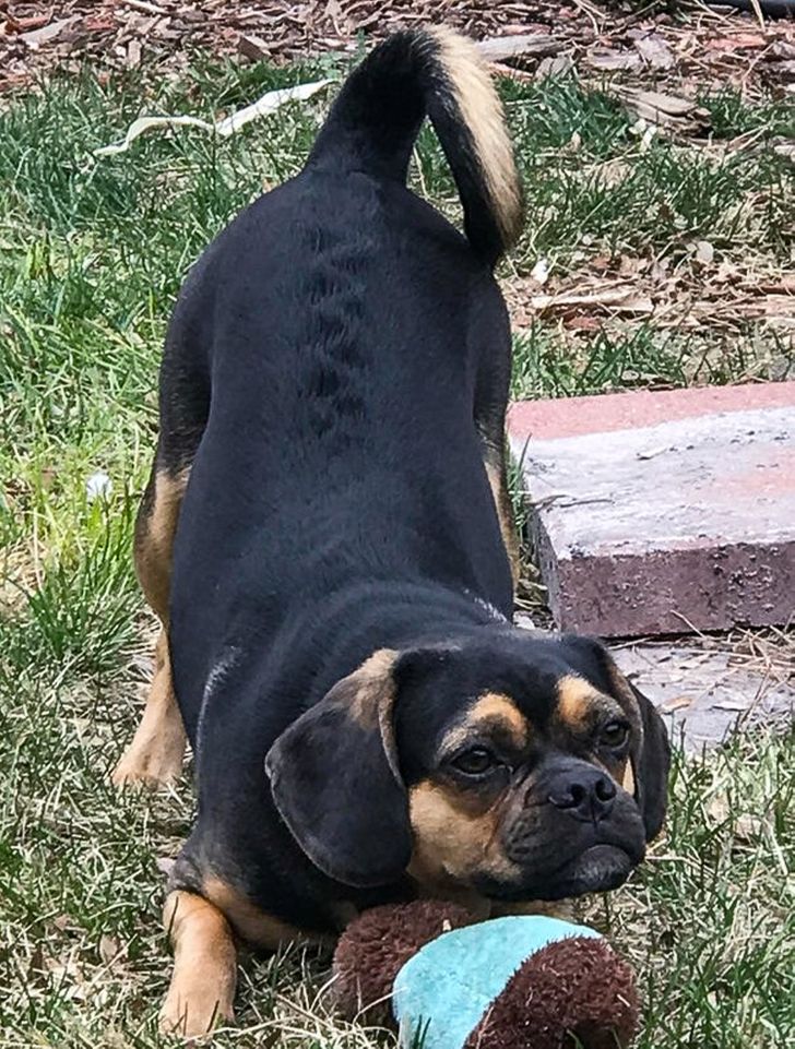 Illustration de l'article : Ces 19 découvertes insolites en tout genre