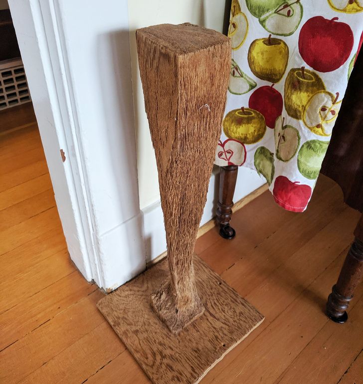 Illustration de l'article : Ces 20 photos illustrant des phénomènes du quotidien