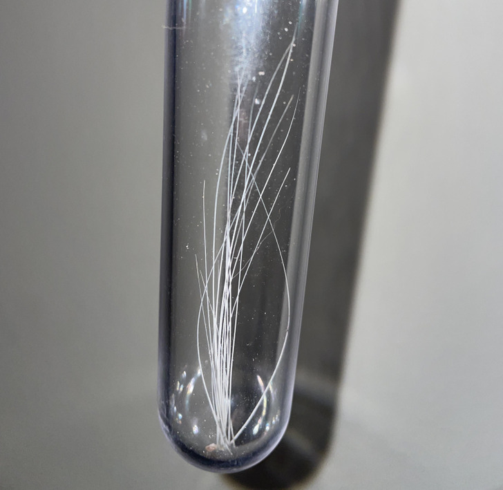 Illustration de l'article : Ces 20 photos de collections insolites en tous genres