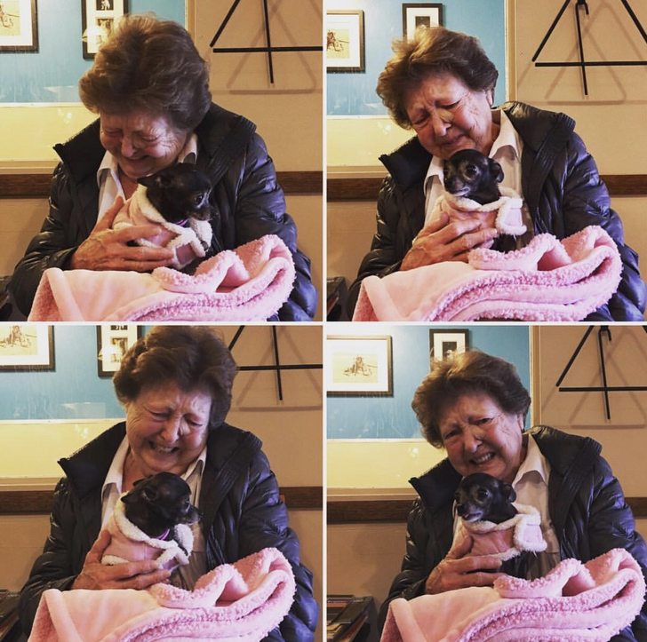 Illustration de l'article : Ces 19 photos illustrant de belles rencontres de la vie