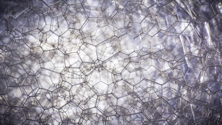 Illustration de l'article : Ces 16 photos vues au microscope pour mieux apprécier les détails