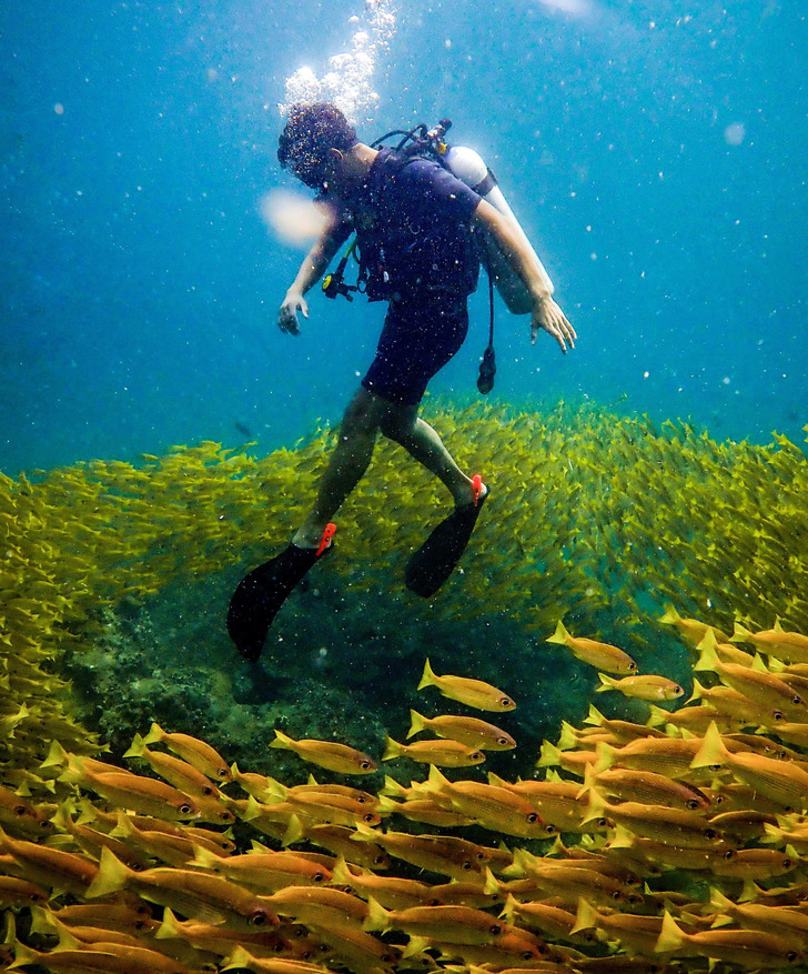 Illustration de l'article : Ces 17 photos prises au bon moment au bon endroit