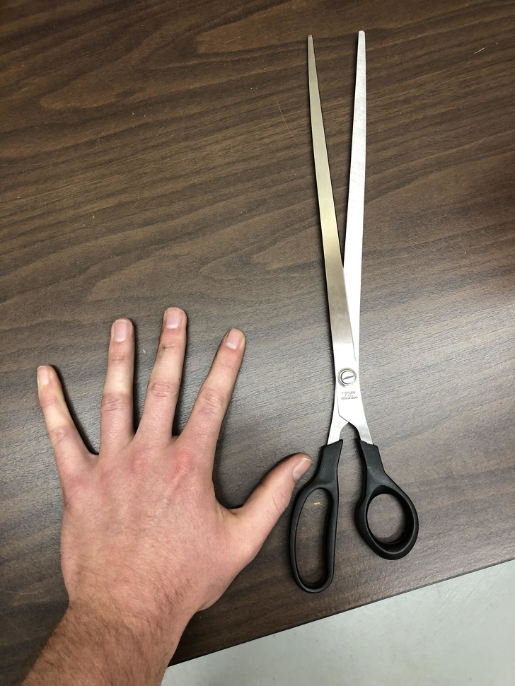 Illustration de l'article : Ces 18 situations curieuses partagées par des internautes