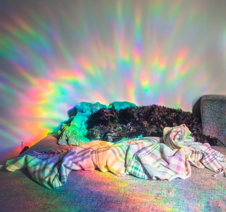 Illustration de l'article : Ces 22 photos mises en avant grâce au pouvoir des reflets