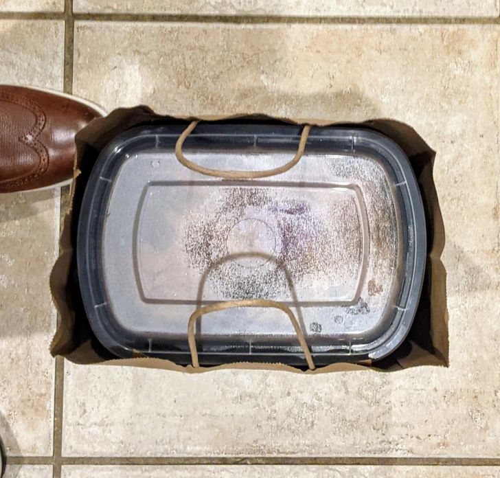 Illustration de l'article : Ces 18 photos pour satisfaire les perfectionnistes