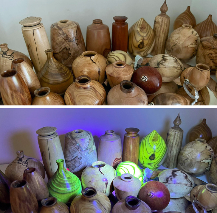 Illustration de l'article : Ces 20 designers qui ont retourné leurs cerveaux pour réaliser ces créations