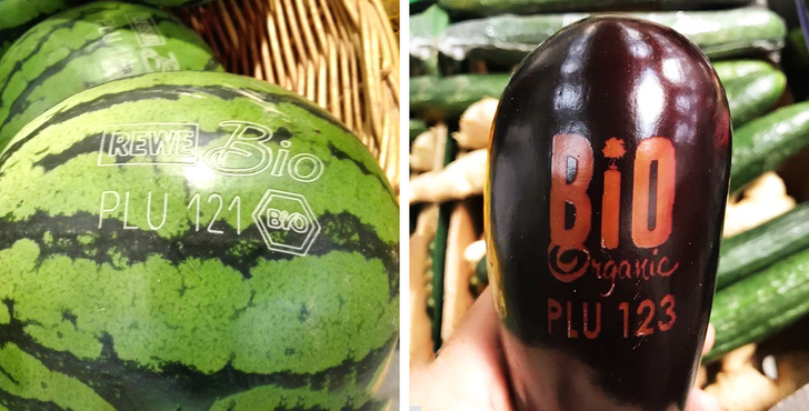 Illustration de l'article : Ces 19 actions simples pour préserver la Terre