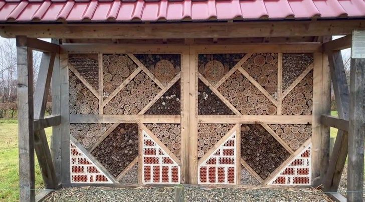 Illustration de l'article : Ces 20 photos illustrant certains aspects différents de la vie chez les Allemands