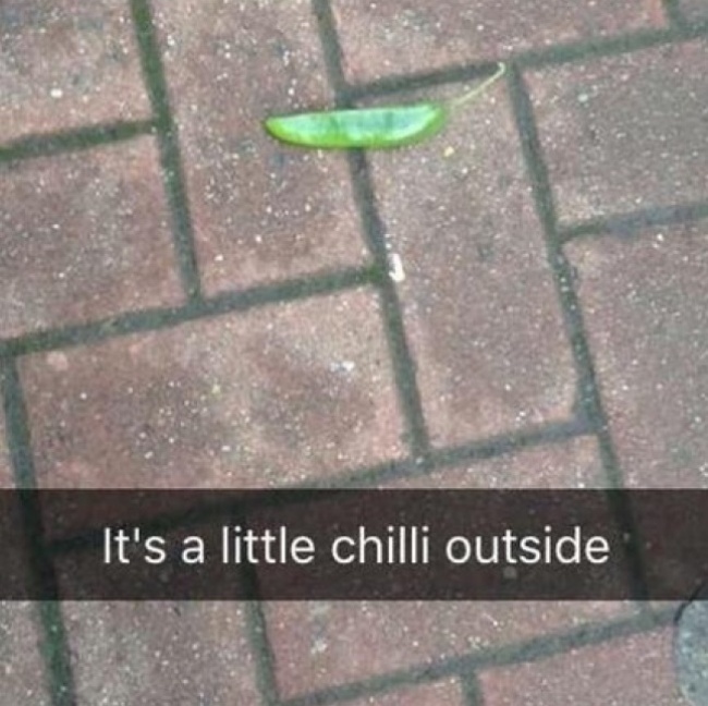 Illustration de l'article : 25 fois où la vie a illustré de vrais jeux de mots